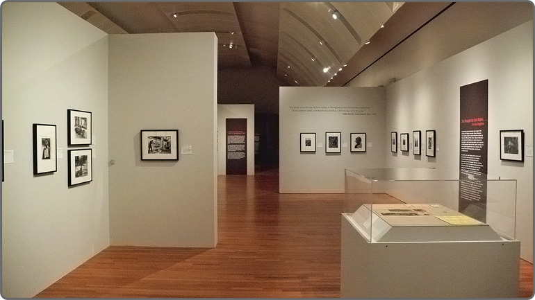 Road To Freedom Exhibition