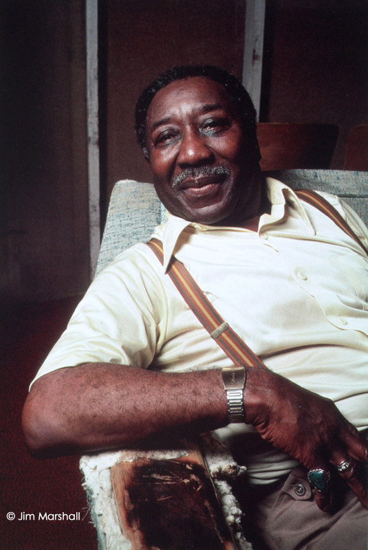 Muddy-Waters-Color-vert