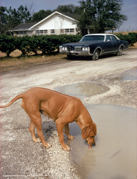 William Eggleston