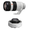 FE 100-400mm f/4.5-5.6 GM OSS Lens with FE 1.4x Teleconverter Thumbnail 0