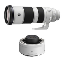 FE 200-600mm f/5.6-6.3 G OSS Lens with FE 2.0x Teleconverter Image 0