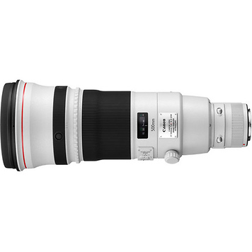 EF 600mm f/4.0L IS II USM Telephoto Lens