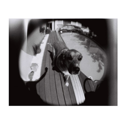 Orca 110 Pocket B&W Negative Film (24 Exposure, Single Roll) Image 5