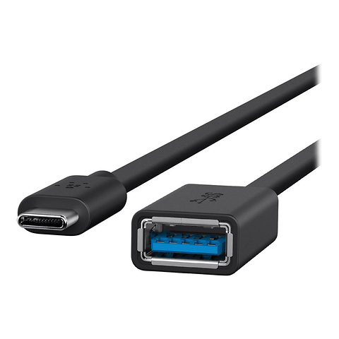USB 3.0 Type-A Female to Type-C Male Adapter Image 2
