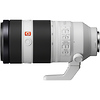 FE 100-400mm f/4.5-5.6 GM OSS Lens with FE 1.4x Teleconverter Thumbnail 1