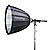 30 in. Parabolic Reflector with Focus Mount Pro and Cage Mount Strobe Adapter for Profoto
