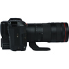 EOS C70 Cinema Camera with RF 24-105mm f/2.8 Lens (RF Mount) Thumbnail 3