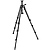 4-Section Carbon Fiber Tripod With Geared Column