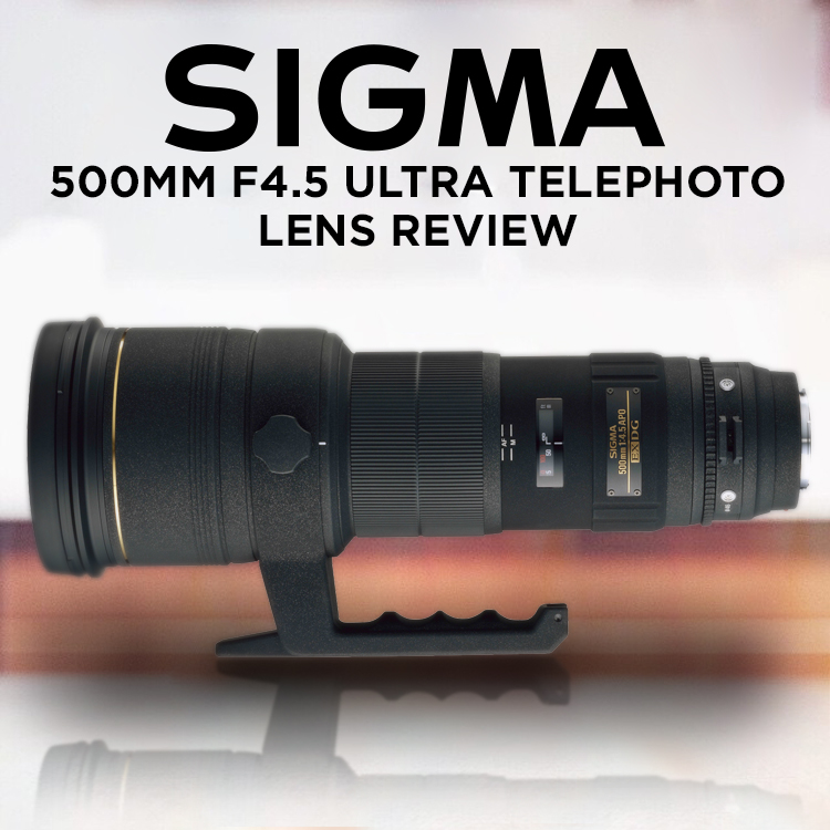 Sigma 500mm f4.5 Ultra Telephoto Lens Review