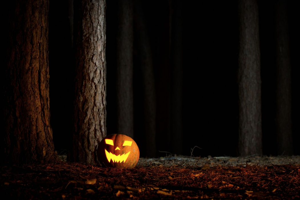 #PhotoFriday Roundup: The Great Pumpkin, Canon, and One Cool Kodak Hack