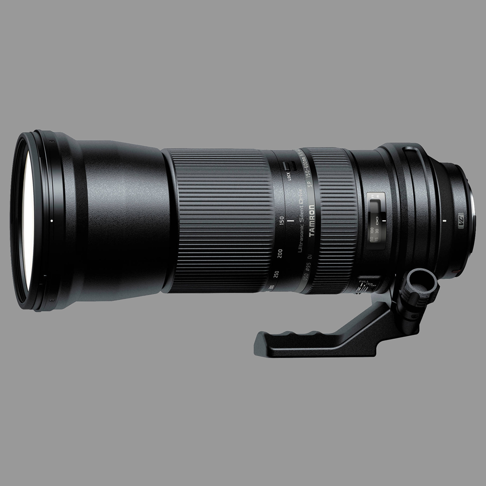 Tamron 150-600mm Telephoto Lens Review
