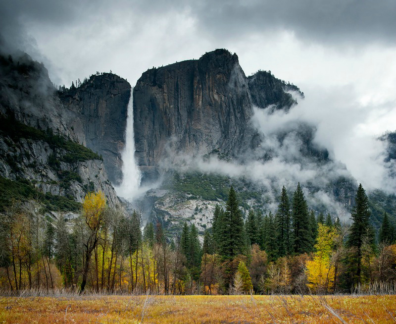 Must-Haves for Fall Photography Exhibitions