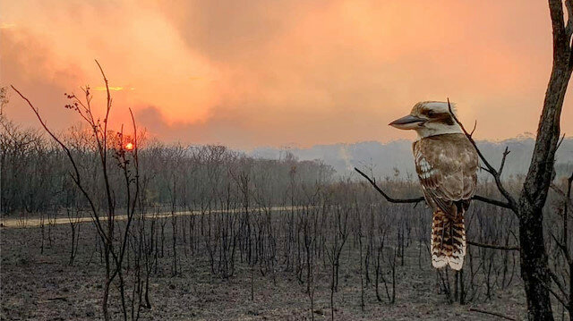 BUSH FIRES RAGING IN AUSTRALIA