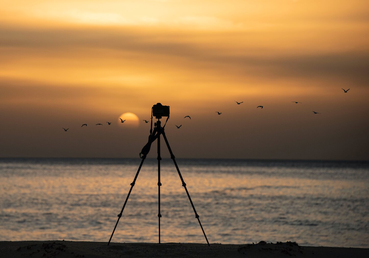 Oh, the Places You’ll Go! (With a Good Landscape Tripod)