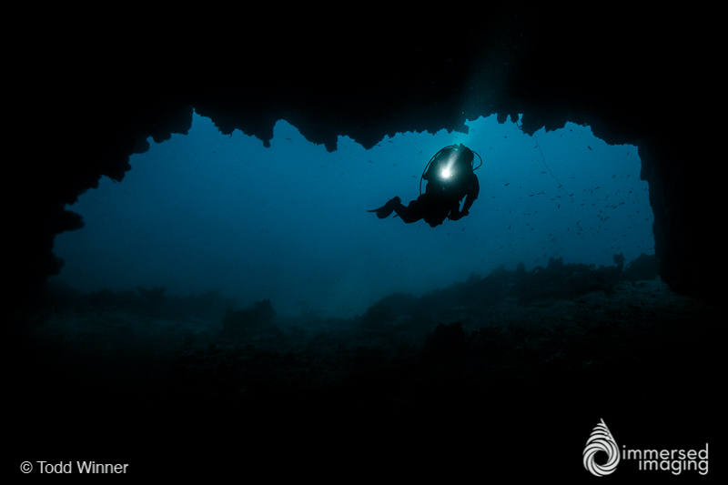 Shooting Underwater Silhouettes by Todd Winner