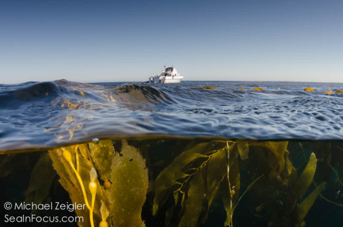 Dive Boat Split