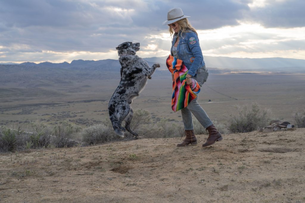 Tabby with Dog