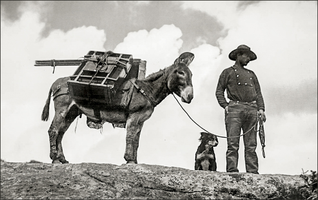 WILLIAM HENRY JACKSON: Picture Maker Of The American West