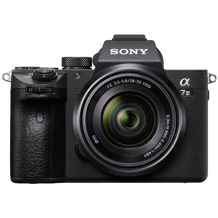 Digital Mirrorless Cameras