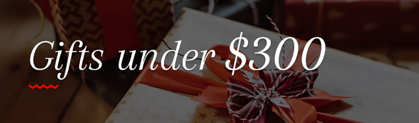 Gifts Under $500