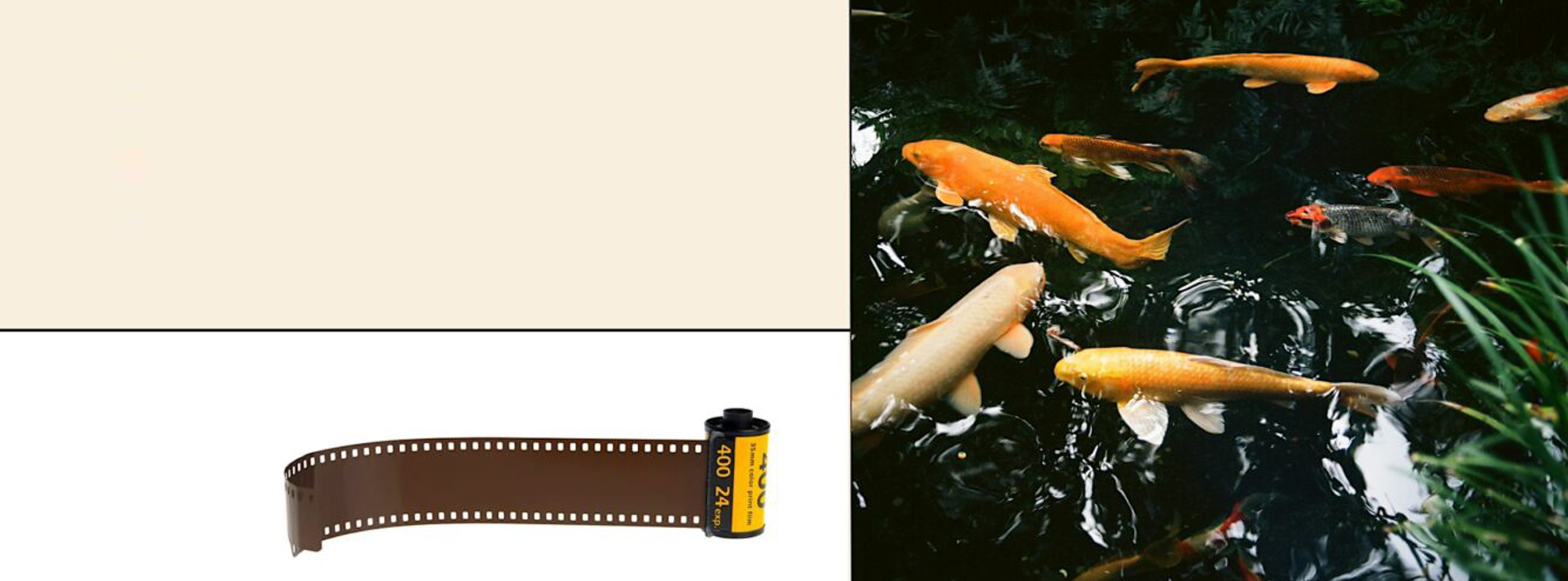 Camera Store: Photography, Video, Audio | Samy's Camera