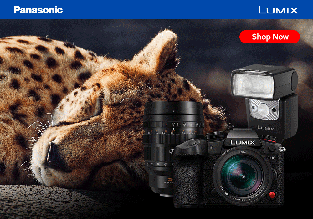 Shop Panasonic Cameras, Accessories & More!