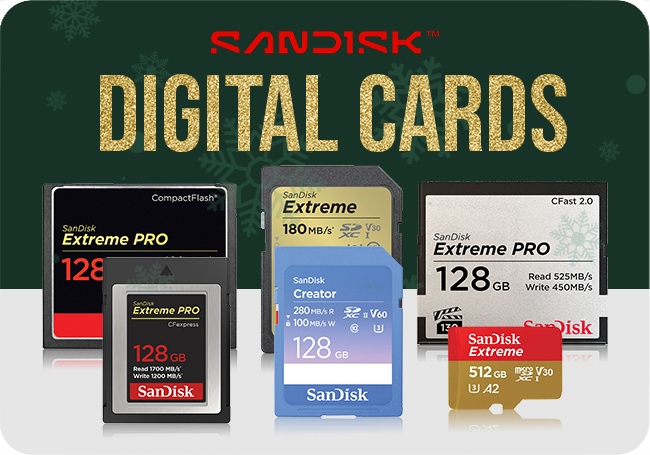 Sandisk Digital Cards