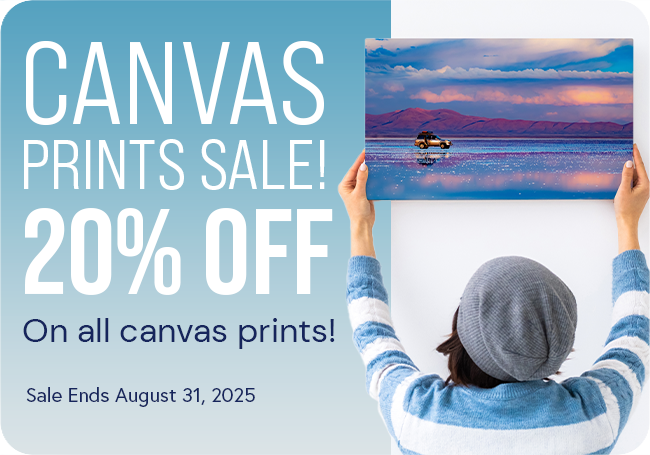 Canvas Prints Sale