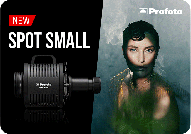 Profoto Spot Small
