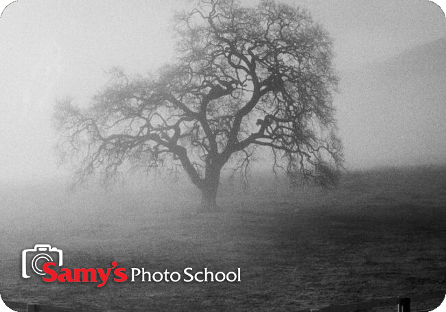 Unboxing Your Creativity with Stephen Vanasco Sponsored by Leica- Los Angeles