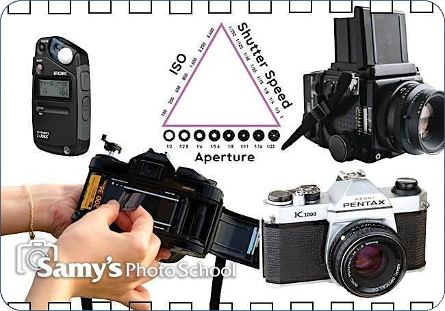 Beginning Film Analog Photography - Natasha Calzatti - Los Angeles