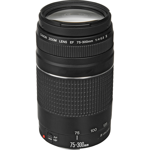 美品 動作良好 Canon EF 75-300mm IS USM F4-5.6 Amazon.co.jp: Canon EF 75-300mm F4-5.6 IS USM : 家電＆カメラ