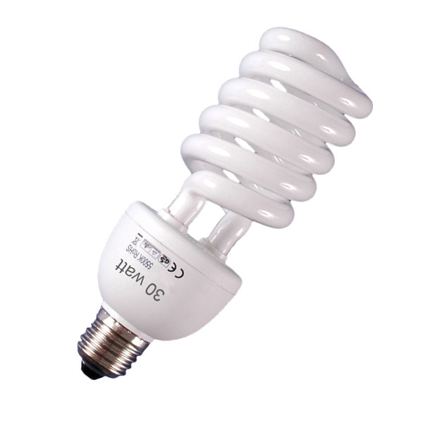 finansiere Forbavselse garn RPS Studio | CFL 5500 Degree K 30 Watt Lamps | EPCCFL30W