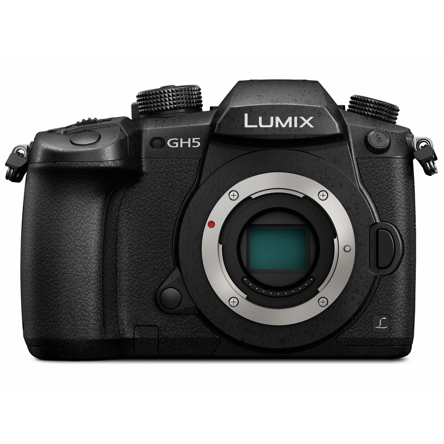 Panasonic LUMIX DC-GH5 Mirrorless Micro Four Thirds Digital Camera