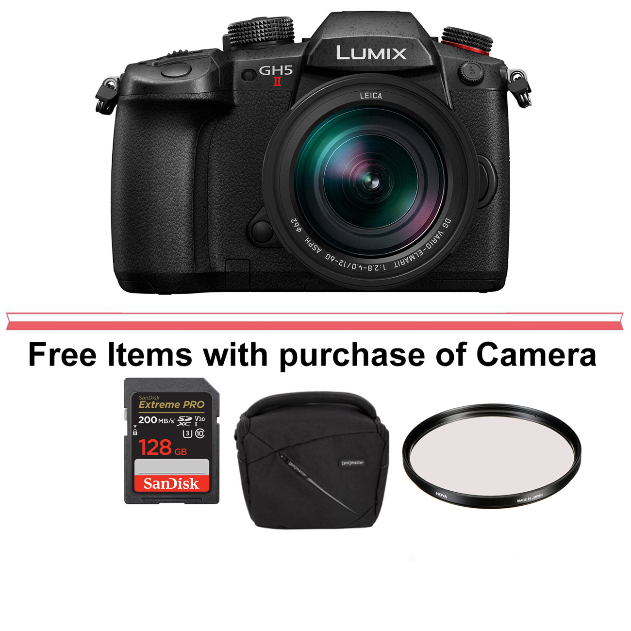 Panasonic Lumix DC-GH5 II Mirrorless Micro Four Thirds Digital