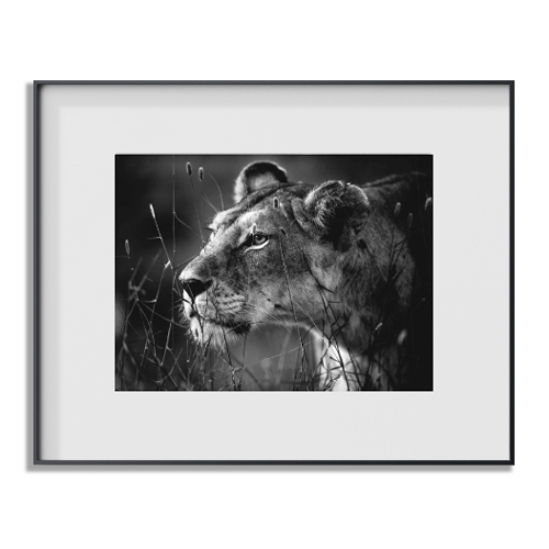 IONNYK 50 x 40 in. Maxine Masterpiece Digital Art Frame