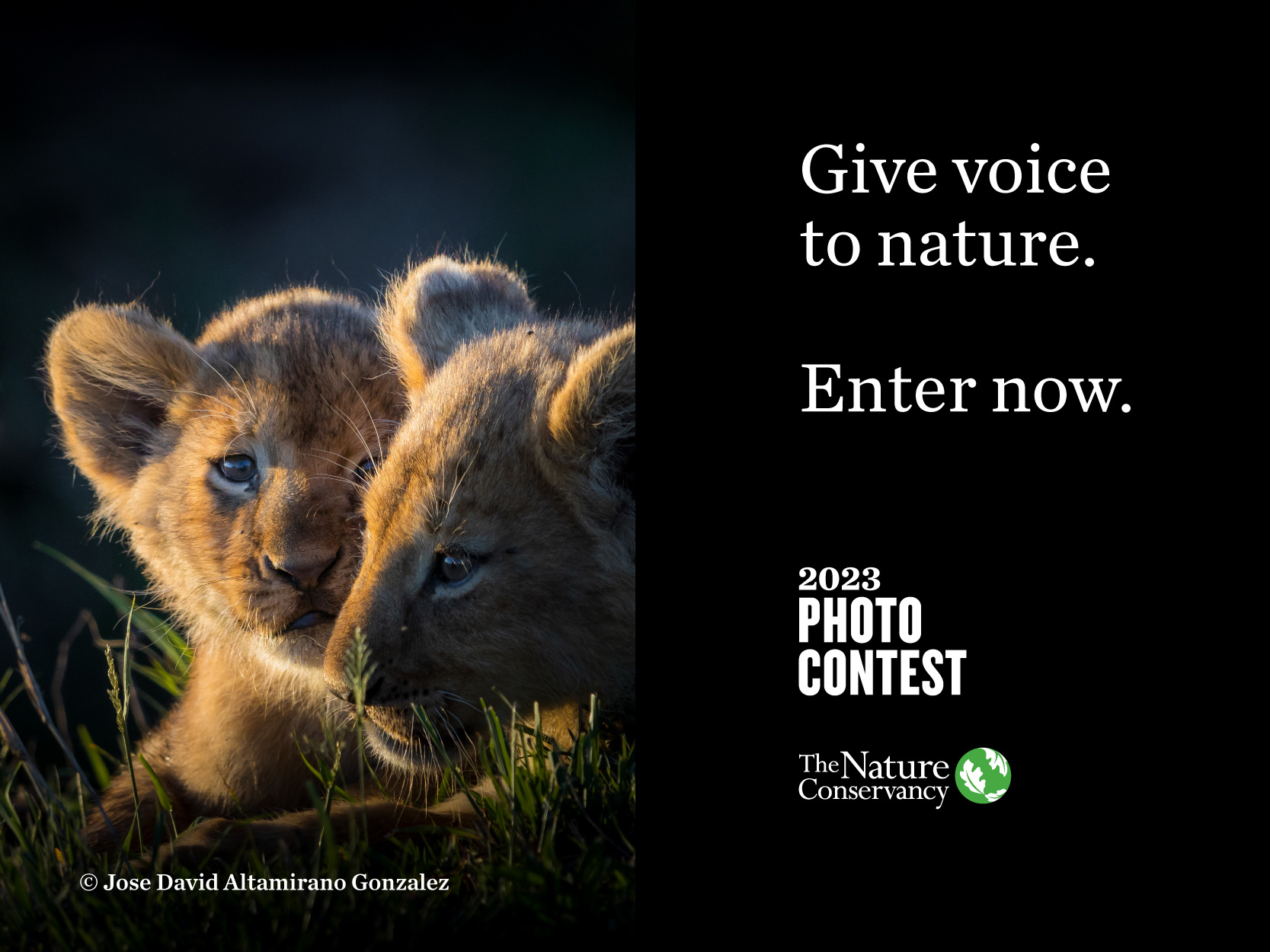 Enter The Nature Conservancys 2023 Photo Contest!