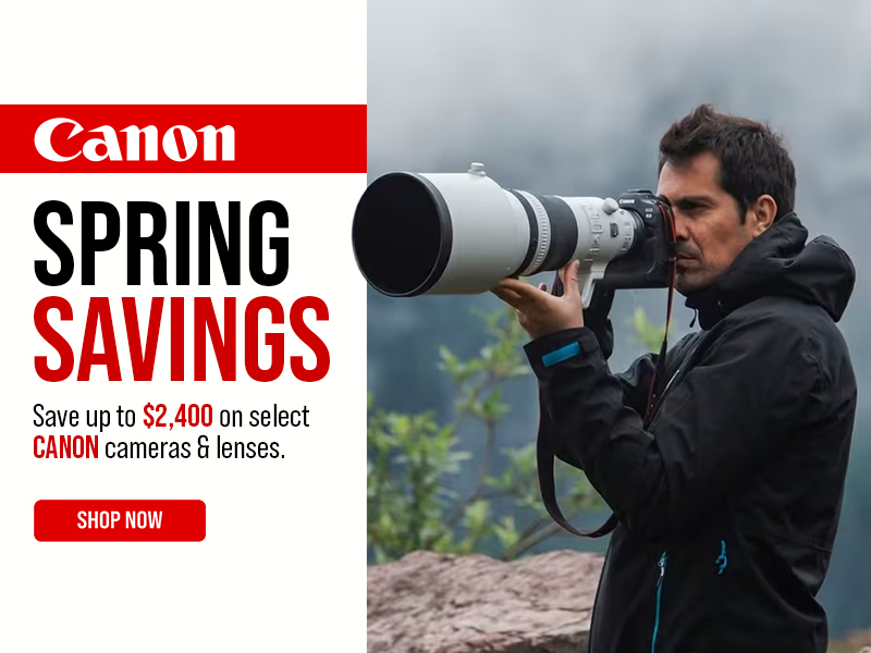 Canon Springs Sale