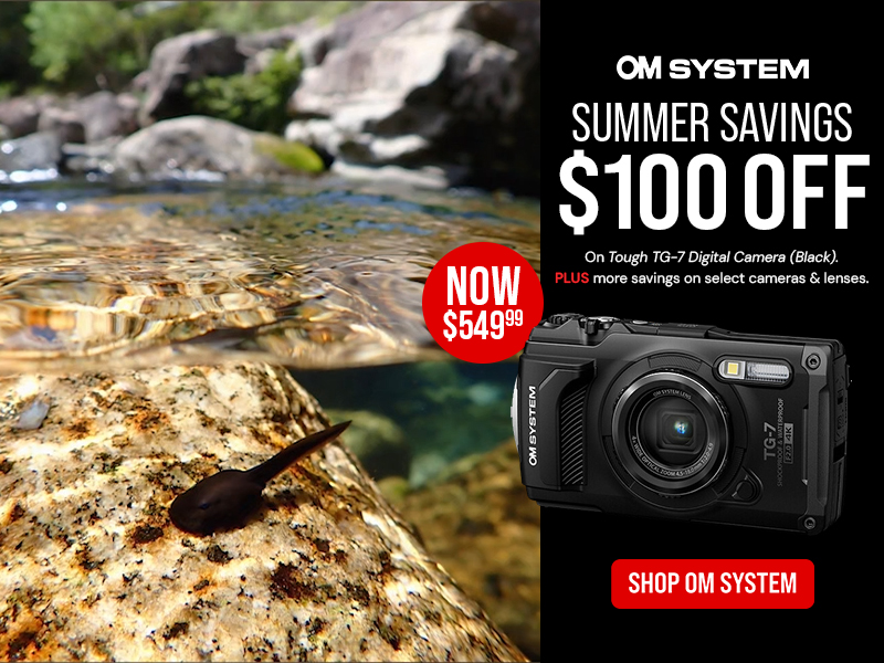 OM System Savings