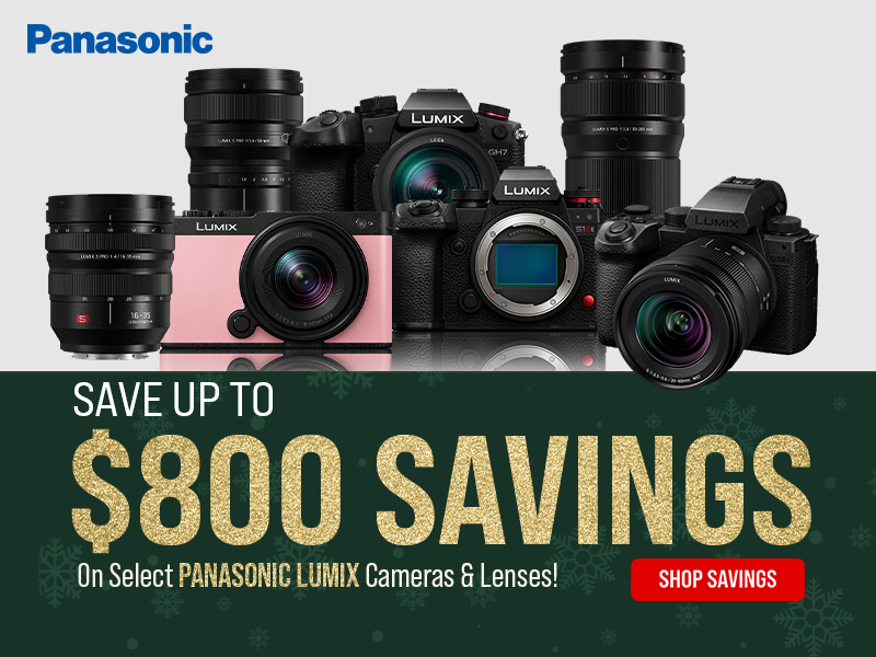 Panasonic Holiday Savings