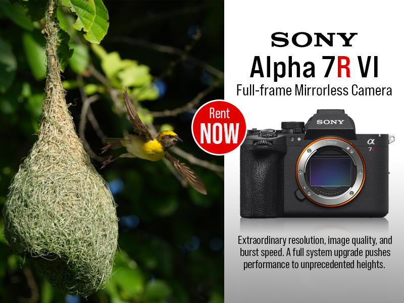Sony A7R VI
