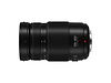 100-300mm, F4.0-5.6 II, Lumix G Vario Lens for Mirrorless Micro Four Thirds Mount Thumbnail 1