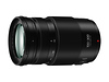 100-300mm, F4.0-5.6 II, Lumix G Vario Lens for Mirrorless Micro Four Thirds Mount Thumbnail 3