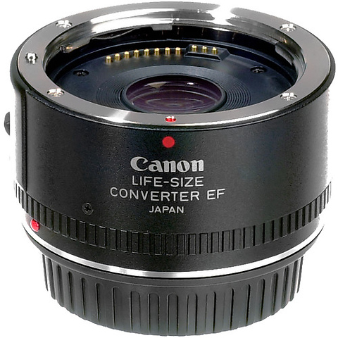 Life-size Converter Image 0