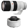 FE 70-200mm f/2.8 GM OSS Lens with FE 2.0x Teleconverter Thumbnail 0