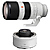 FE 70-200mm f/2.8 GM OSS Lens with FE 2.0x Teleconverter