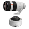 FE 100-400mm f/4.5-5.6 GM OSS Lens with FE 2.0x Teleconverter Thumbnail 0