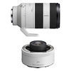 FE 70-200mm f/4 G OSS II Lens with FE 2.0x Teleconverter Thumbnail 0