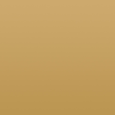 Gel Sheet 274 Mirror Gold Lighting Filter 21x24 Image 0