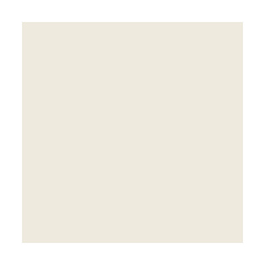 53 In. x 36 ft. Widetone Seamless Background Paper Roll (#12 Studio Gray)